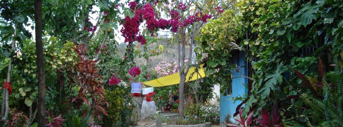 Garden courtyard in Latin America
